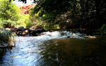 photo thumbnail #1