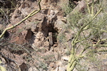 photo thumbnail #4