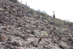 photo thumbnail #6