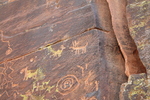photo thumbnail #8