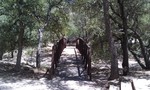 photo thumbnail #10