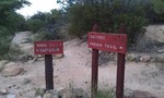 photo thumbnail #13