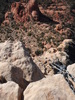 photo thumbnail #14