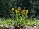photo thumbnail #6