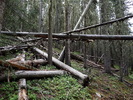 photo thumbnail #7
