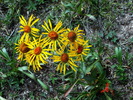 photo thumbnail #13