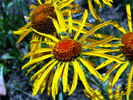 photo thumbnail #14