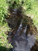 photo thumbnail #15
