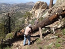 photo thumbnail #3