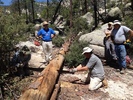 photo thumbnail #4