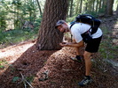 photo thumbnail #2