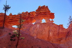 photo thumbnail #7