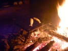 photo thumbnail #6