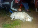 photo thumbnail #13
