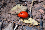 photo thumbnail #5
