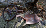 photo thumbnail #8