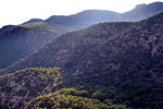 photo thumbnail #14