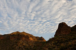 photo thumbnail #12