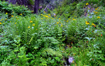 photo thumbnail #6