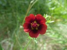 photo thumbnail #4