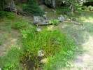 photo thumbnail #10