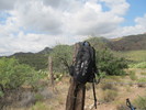 photo thumbnail #5