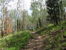 photo thumbnail #1