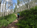 photo thumbnail #3