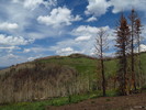 photo thumbnail #5