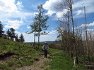 photo thumbnail #6
