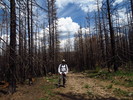 photo thumbnail #13