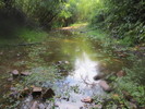 photo thumbnail #10