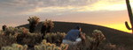 photo thumbnail #4