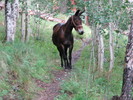 photo thumbnail #2