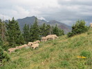 photo thumbnail #12