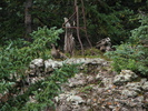 photo thumbnail #12