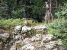 photo thumbnail #13
