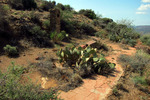 photo thumbnail #3
