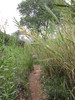 photo thumbnail #8