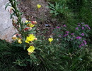 photo thumbnail #13