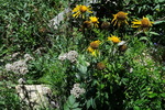 photo thumbnail #14
