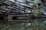 photo thumbnail #13