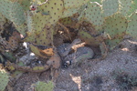 photo thumbnail #3