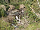 photo thumbnail #14