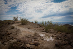 photo thumbnail #7