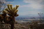 photo thumbnail #8