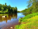 photo thumbnail #1