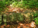 photo thumbnail #10