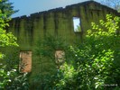photo thumbnail #13