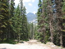 photo thumbnail #2